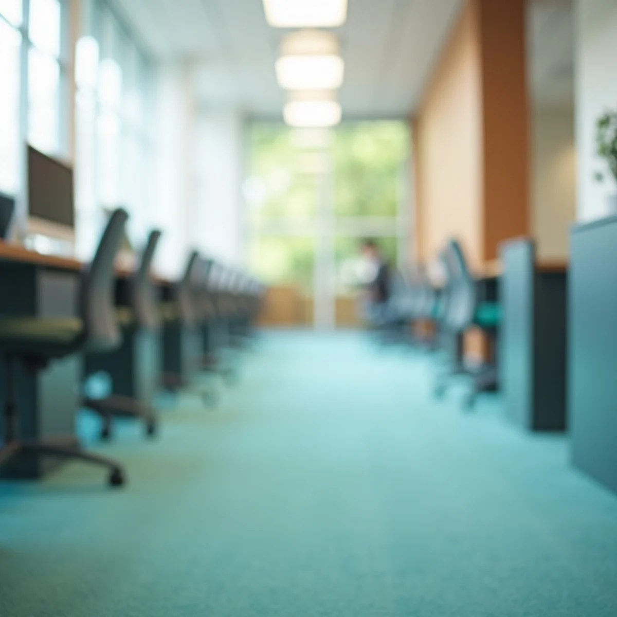 Commercial Carpet Cleaning for a cleaner, healthier Fresno home