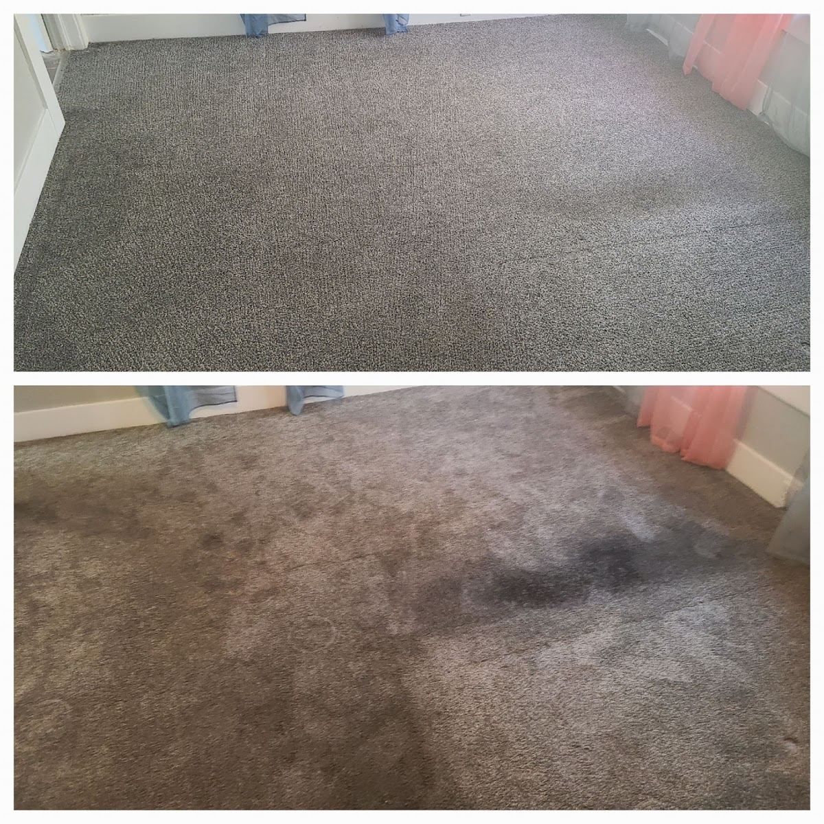 Carpet before and after two-panel