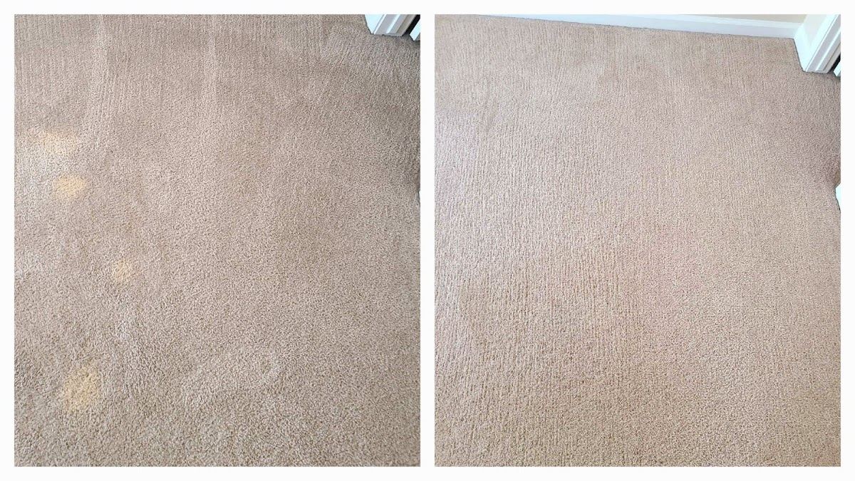 Beige carpet with spots removed, before and after