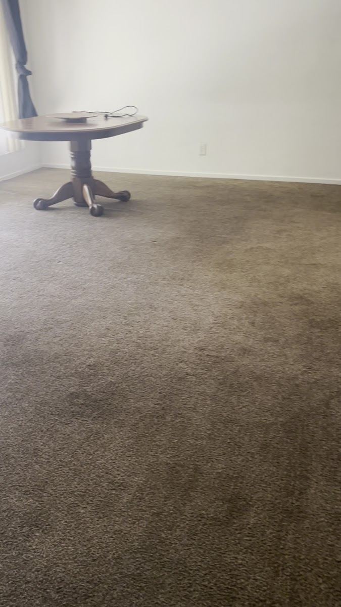 Carpet repair vs replacement decision