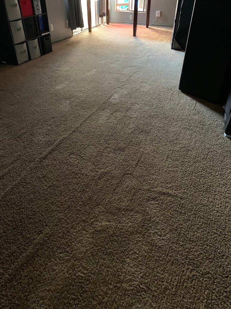 Commercial office carpet cleaned