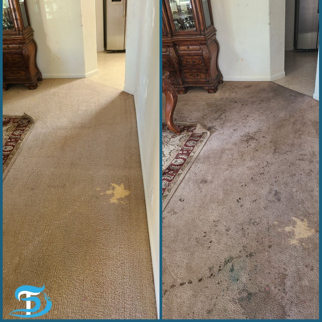 Area rug cleaned in a home