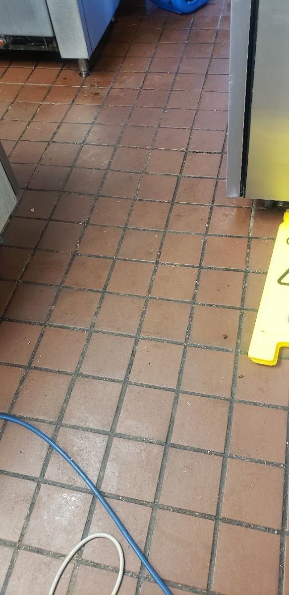 Well-maintained clean carpet