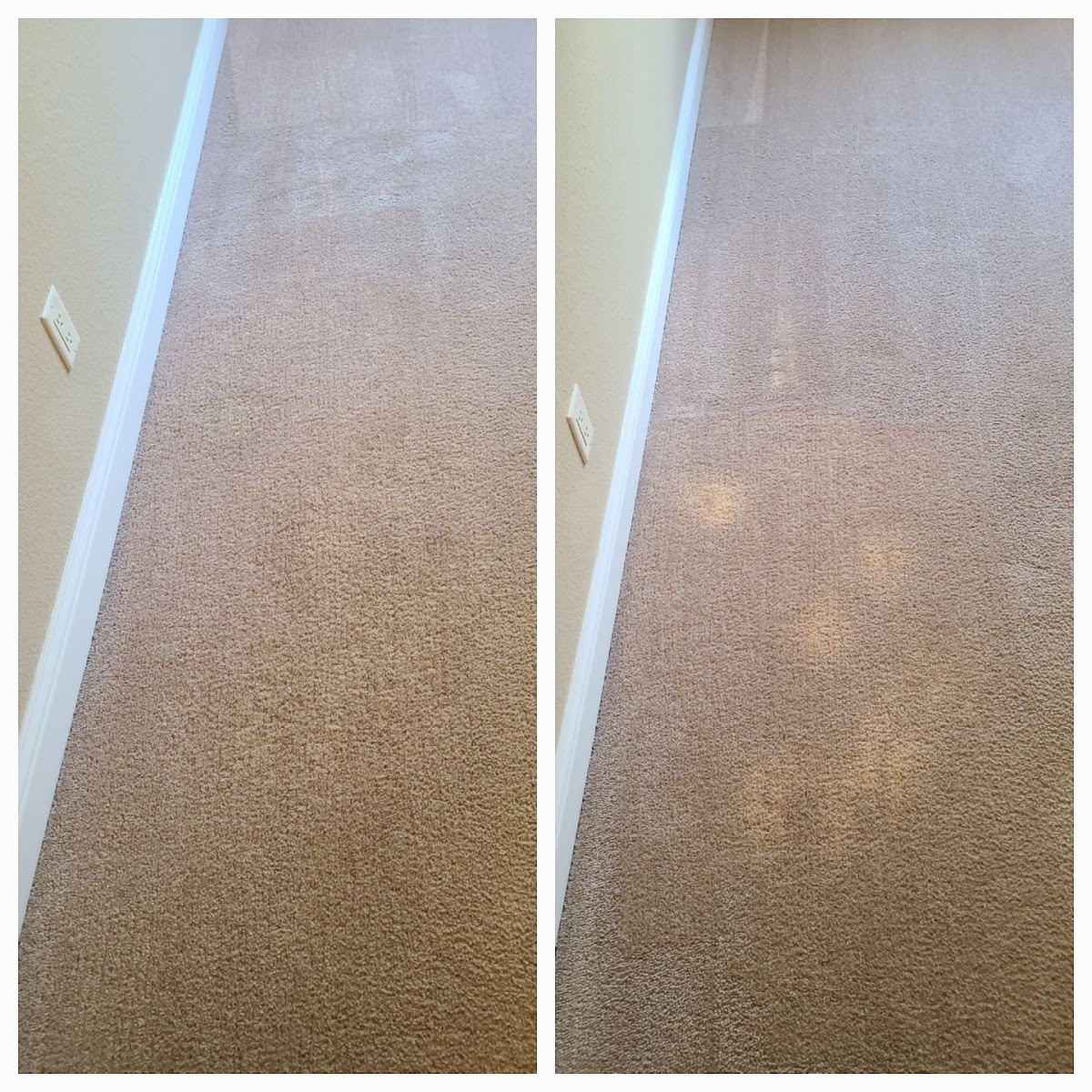 Clean, healthy carpet in a sunlit bedroom