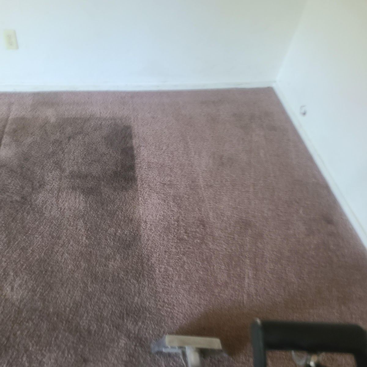 Fresh, odor-free clean carpet