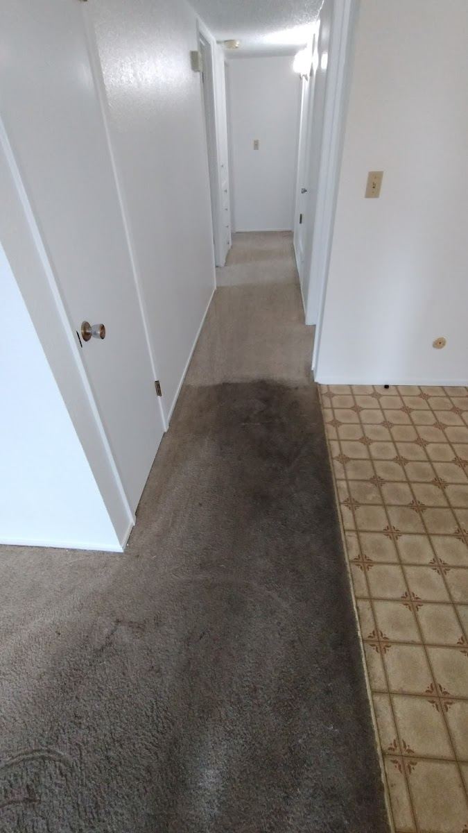 Clean floors brightening a home
